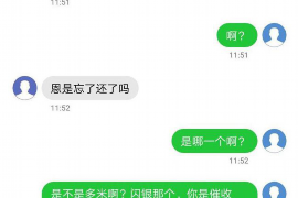 兴文企业清欠服务